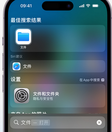 磐安apple维修中心分享iPhone文件应用中存储和找到下载文件