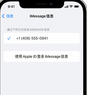 磐安apple维修iPhone上无法正常发送iMessage信息 