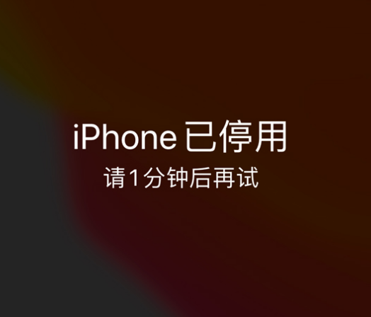 磐安苹果手机维修分享:iPhone 显示“不可用”或“已停用”怎么办？还能保留数据吗？ 