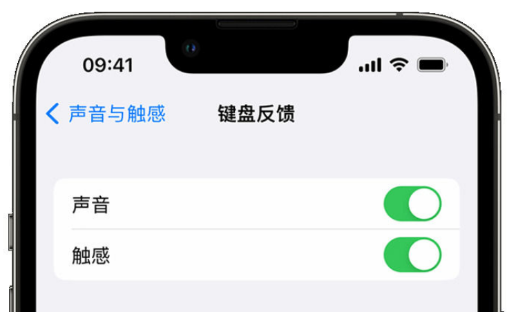 磐安苹果手机维修分享iPhone 14触感键盘使用方法 