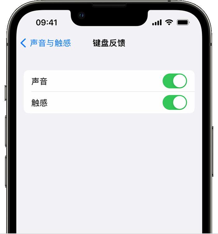 磐安苹果14维修店分享如何在 iPhone 14 机型中使用触感键盘 