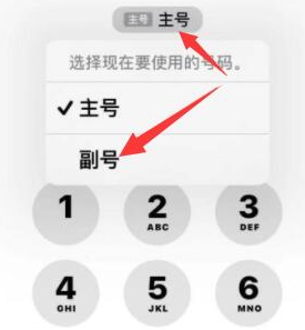 磐安苹果14维修店分享iPhone 14 Pro Max使用副卡打电话的方法 