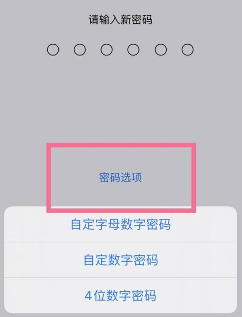 磐安苹果14维修分享iPhone 14plus设置密码的方法 