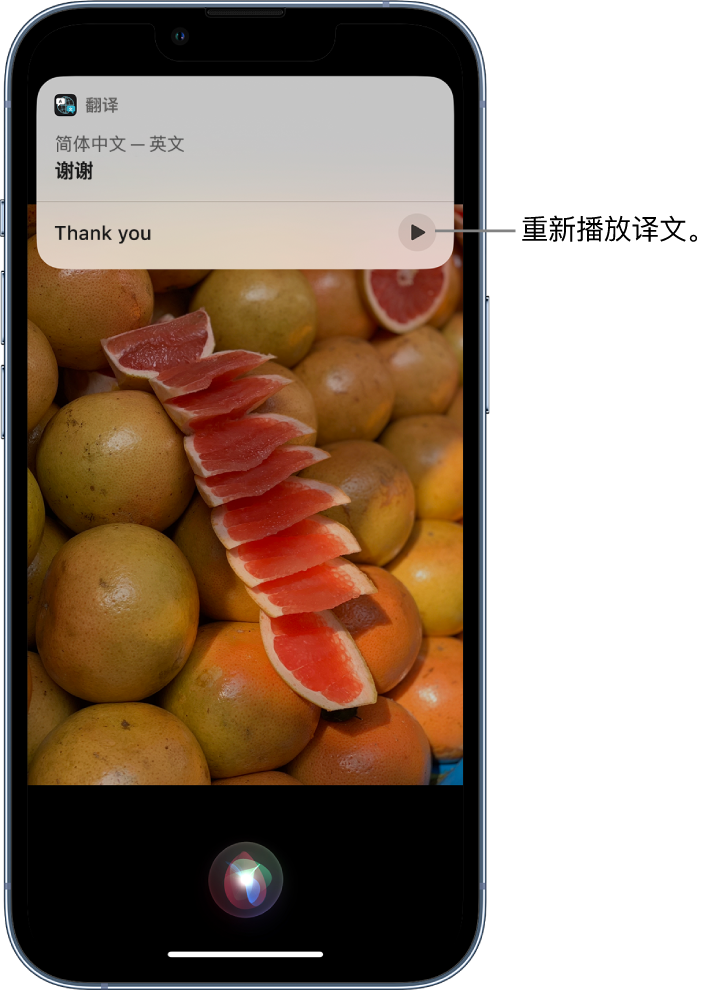 磐安苹果14维修分享 iPhone 14 机型中使用 Siri：了解 Siri 能帮你做什么 