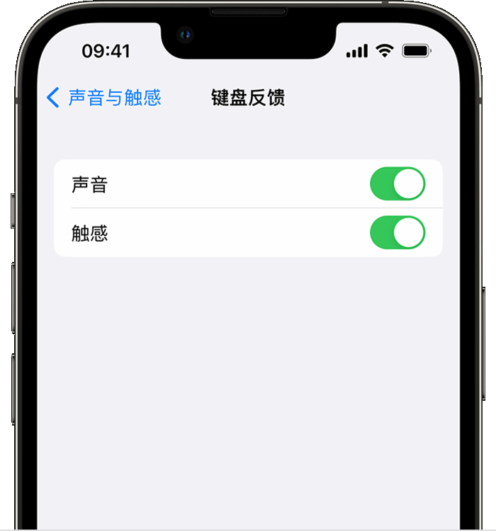 磐安苹果14维修分享iPhone 14 系列机型如何开启键盘声音或触感反馈 