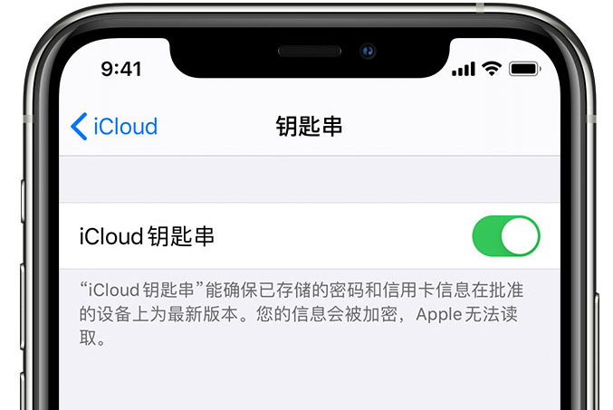 磐安苹果手机维修分享在 iPhone 上开启 iCloud 钥匙串之后会储存哪些信息 