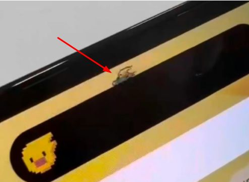 磐安苹果14维修分享iPhone 14 Pro Max灵动岛怎么养宠物 