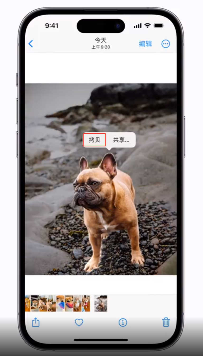 磐安苹果手机维修分享 iOS 16 自带一键抠图功能 