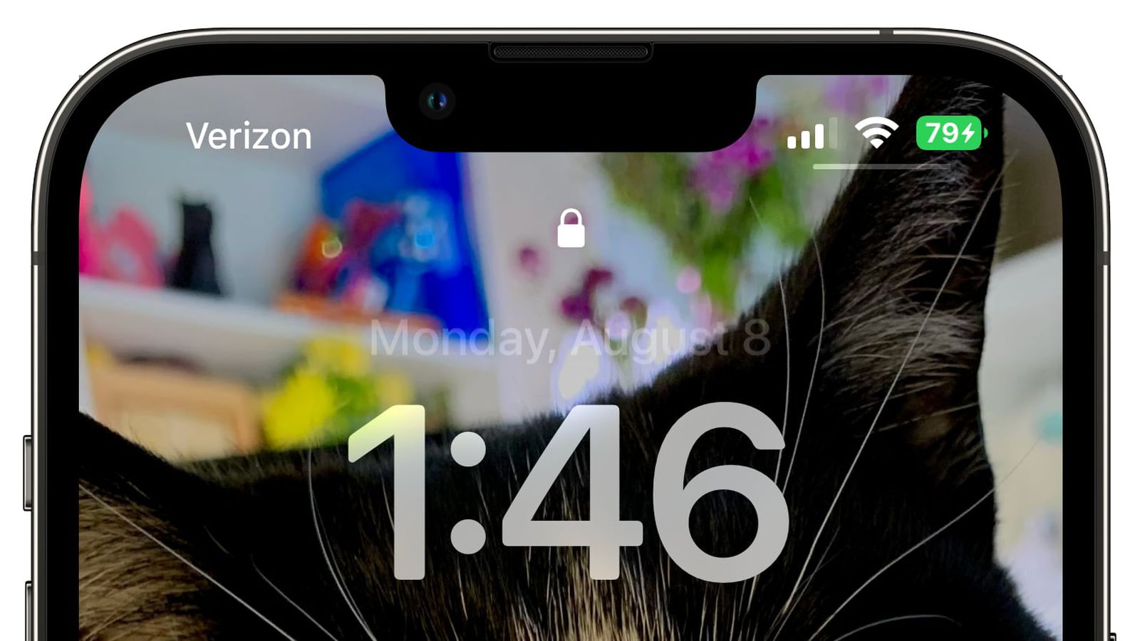 磐安苹果手机维修分享iOS 16 beta 5 支持状态栏显示电池百分比，如何开启？支持哪些机型 