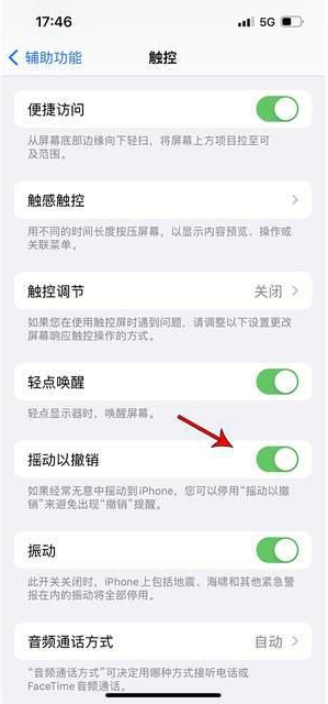 磐安苹果手机维修分享iPhone手机如何设置摇一摇删除文字 