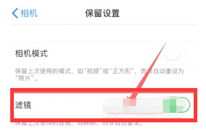 磐安苹果13维修分享iPhone13拍照有绿点是怎么回事 