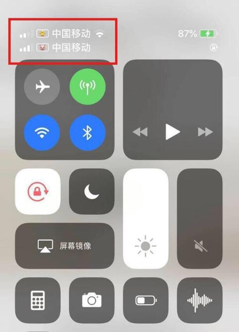 磐安苹果手机维修分享为 iPhone 12 双卡设置标签 