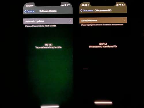 磐安苹果手机维修分享iPhone 12 显示黑色画面时发绿光怎么办 