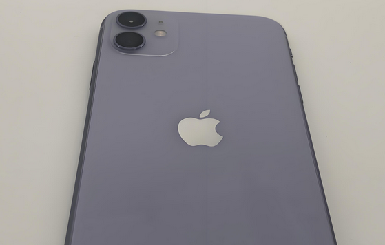 磐安苹果11系统维修分享iPhone11手机系统崩溃无法开机如何解决